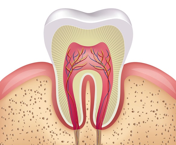 Root Canal in Beaverton