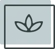 Lotus flower icon in square frame representing wellness and dental care